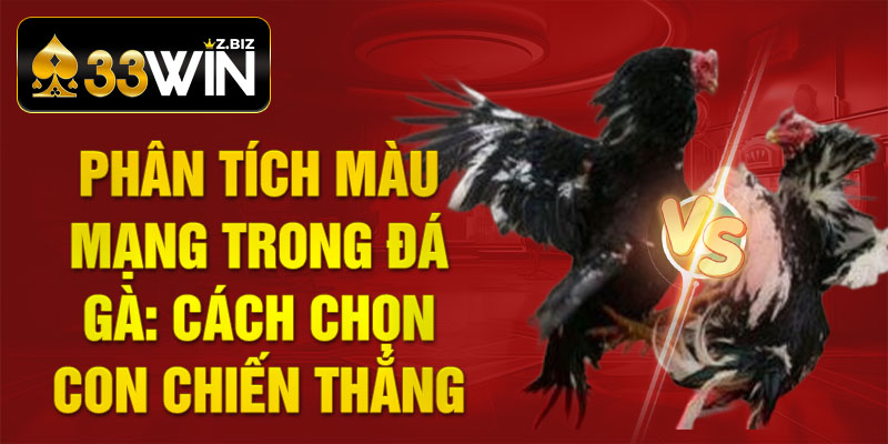 Phân Tích Màu Mạng Trong Đá Gà: Cách Chọn Con Chiến Thắng