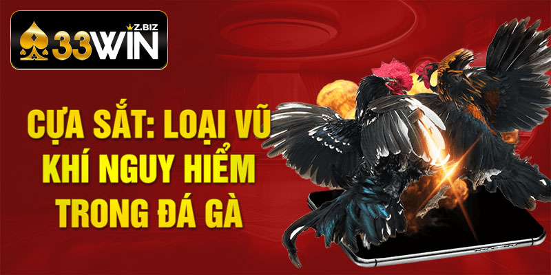 Cựa Sắt: Loại Vũ Khí Nguy Hiểm Trong Đá Gà