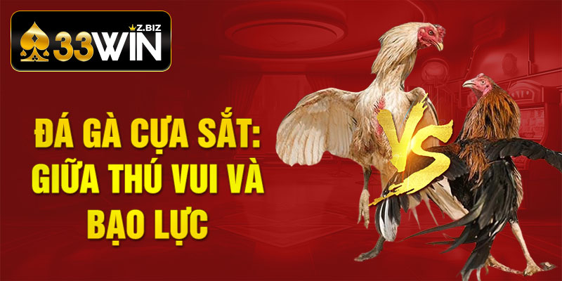 Đá Gà Cựa Sắt: Giữa Thú Vui Và Bạo Lực